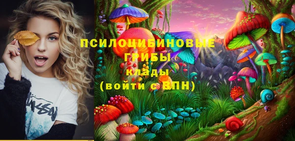 стаф Заводоуковск