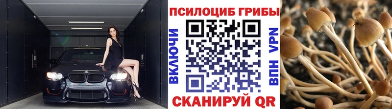 Псилоцибиновые грибы Magic Shrooms  Купить закладки  Иннополис 